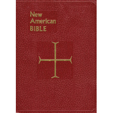 Bible, Red, Black, or White Cover